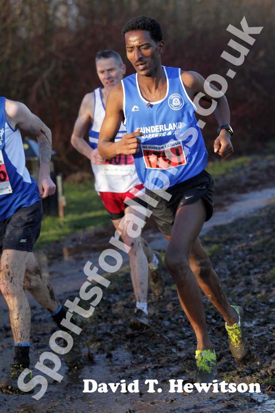Eritrean athlete Weynay Ghebresilasie running for Sunderland Harriers on his way to third place in the Start First North East Harrier League, Jarrow.